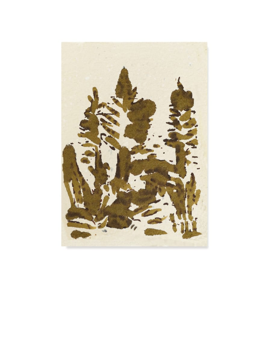 Forest sketch